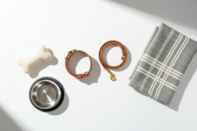 dog accessories on a white background