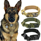 Dog Collar--My Store-My Store