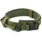 Dog Collar--My Store-Color:Green Collar-Size:L (43-50cm)