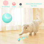 Smart Cat Ball Toys--My Store-My Store
