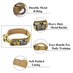 Dog Collar--My Store-My Store