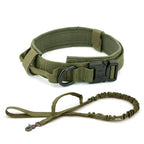 Dog Collar--My Store-Color:Green Set-Size:XL (51-61cm)