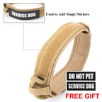 Dog Collar--My Store-My Store