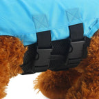 Dog Life Vest--My Store-My Store