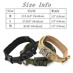 Dog Collar--My Store-My Store