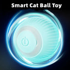 Smart Cat Ball Toys--My Store-My Store